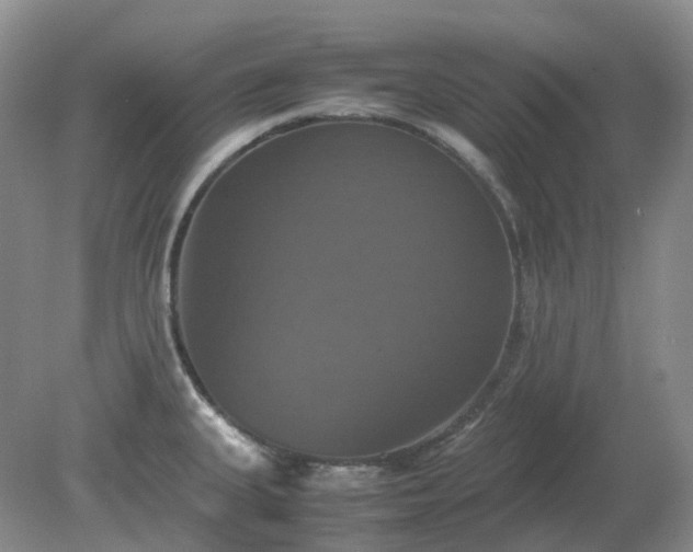 X0000079321335200611251755