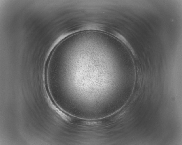 X0000079321339200611251755
