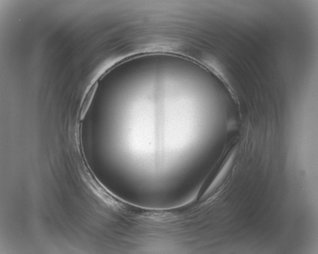 X0000079321340200611251755
