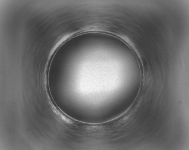 X0000079321341200611251755