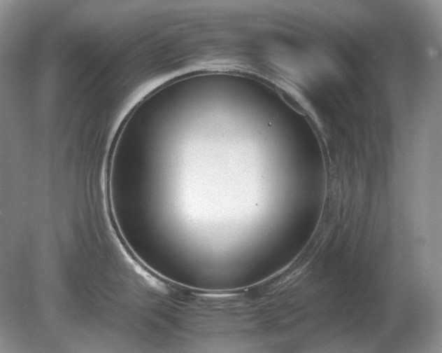 X0000079321343200611251755