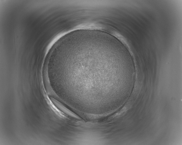 X0000079321344200611251755