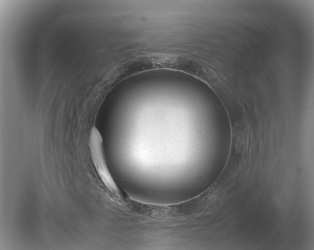 X0000079321345200611251754