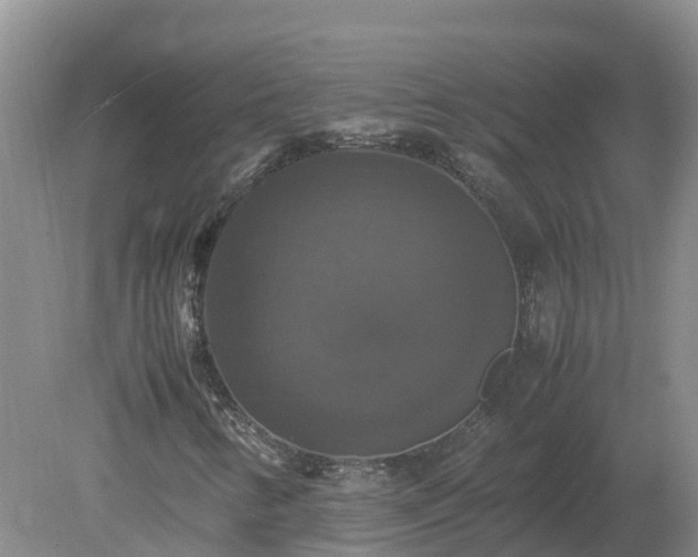 X0000079321346200611251754