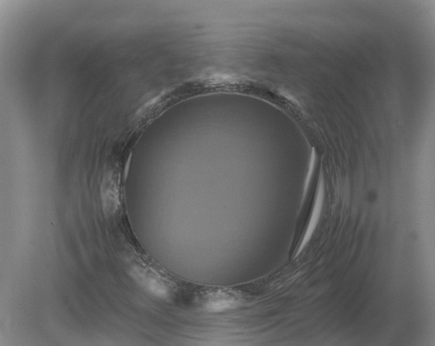 X0000079321348200611251754