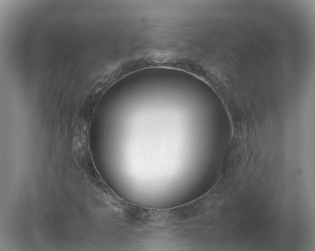 X0000079321349200611251754