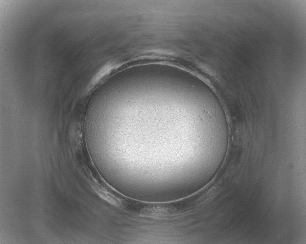 X0000079321355200611251754