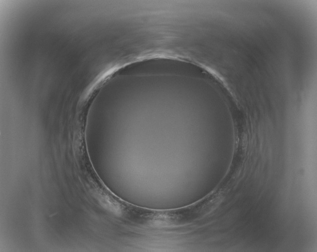 X0000079321359200611251754