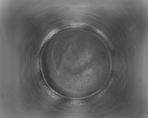 X0000079321362200611251754