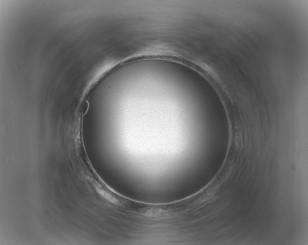 X0000079321366200611251754