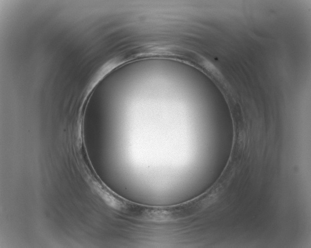 X0000079321370200611251753