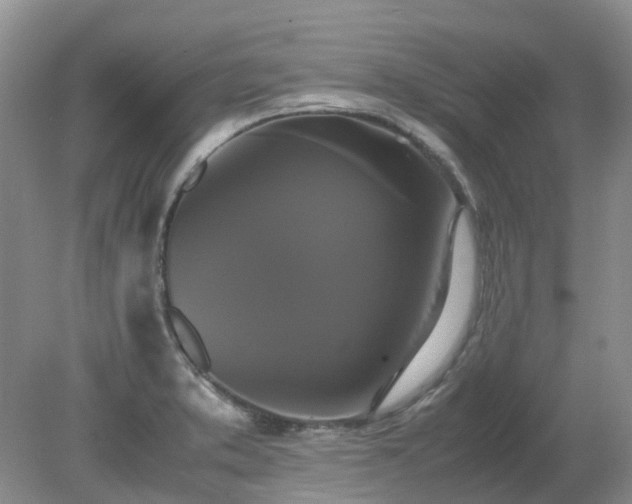 X0000079321373200611251753