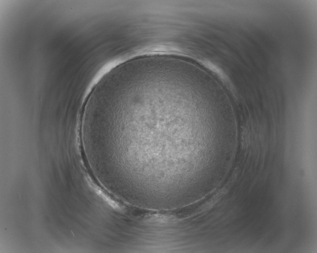 X0000079321374200611251753