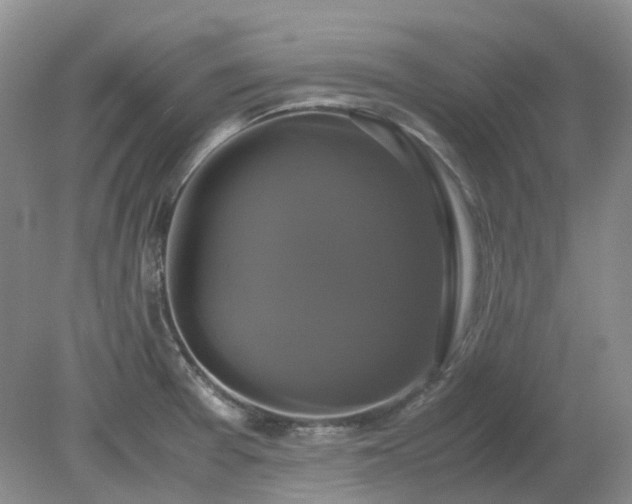 X0000079321377200611251753