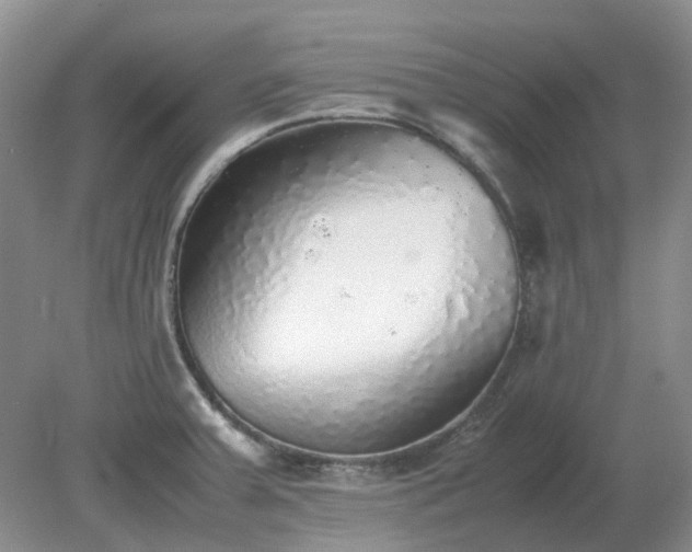 X0000079321379200611251753