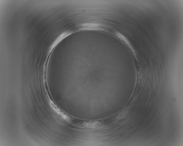 X0000079321386200611251753