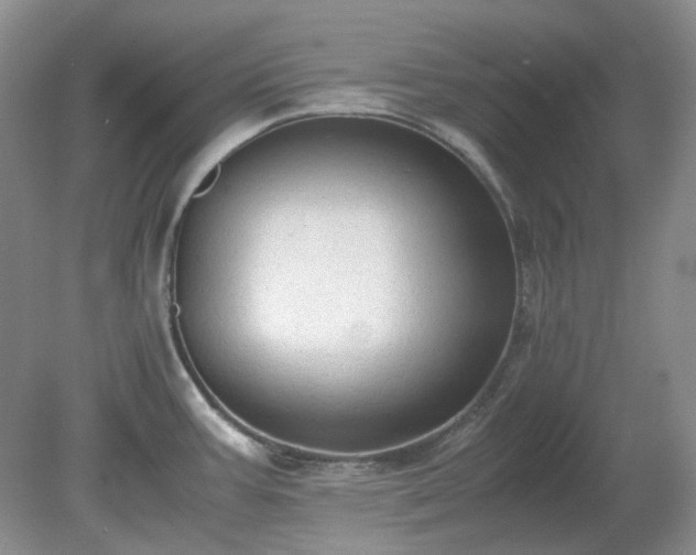 X0000079321387200611251753