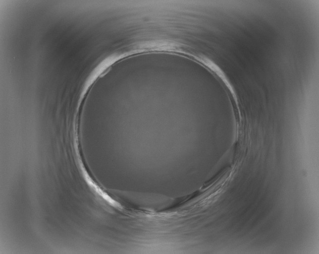 X0000079321389200611251753