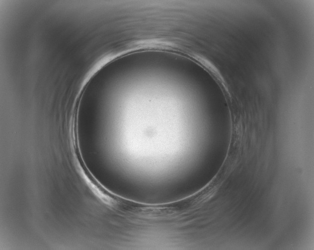 X0000079321391200611251753