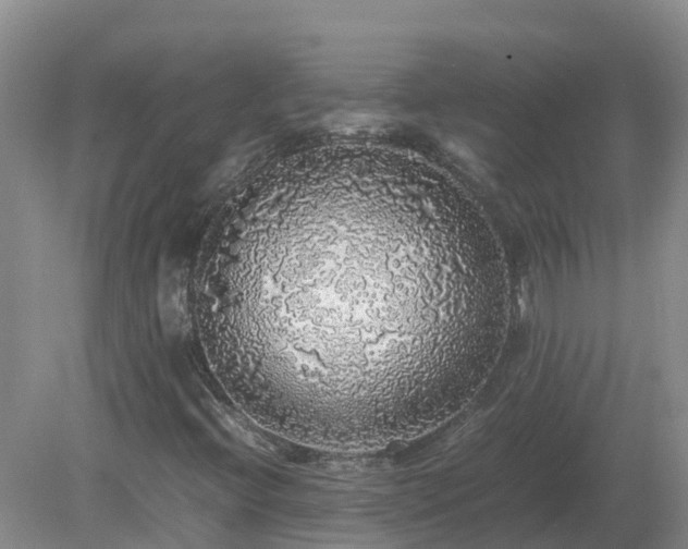 X0000079321396200611251752