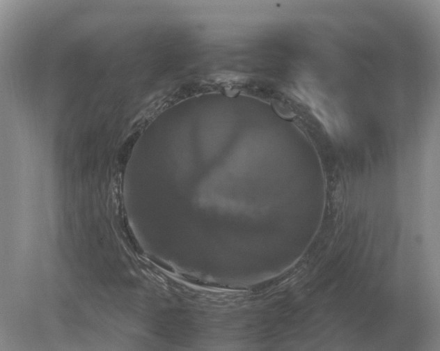 X0000079321397200611251752