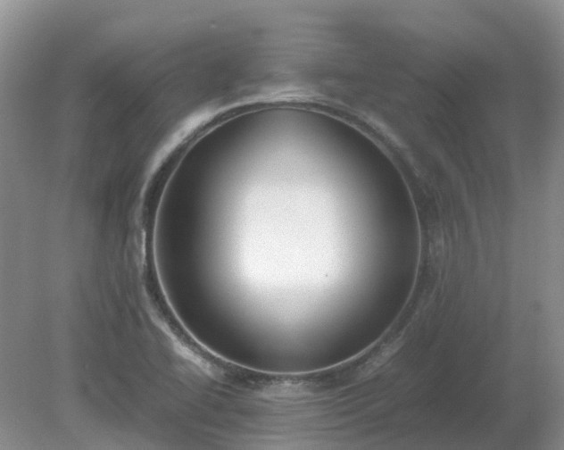 X0000079321414200611251753