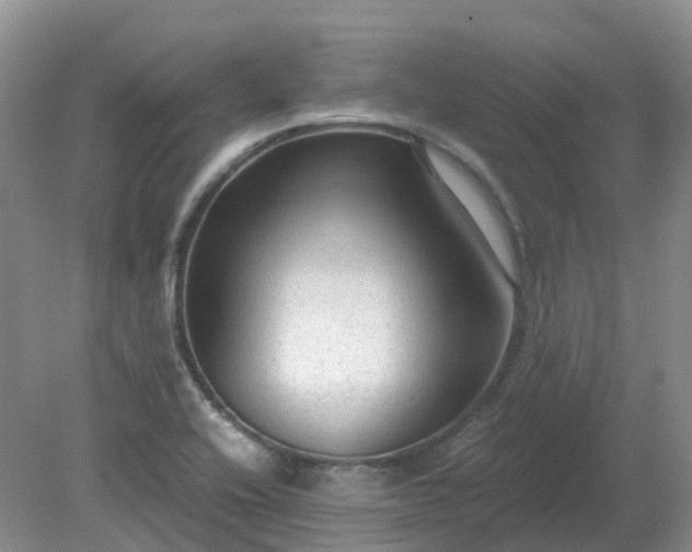 X0000079321416200611251753