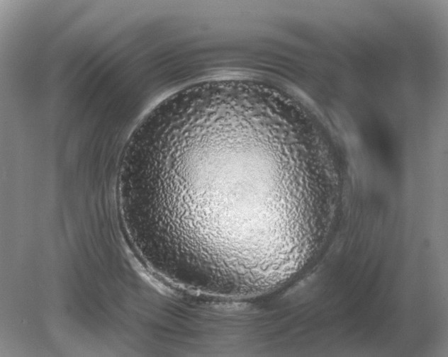 X0000079321417200611251753