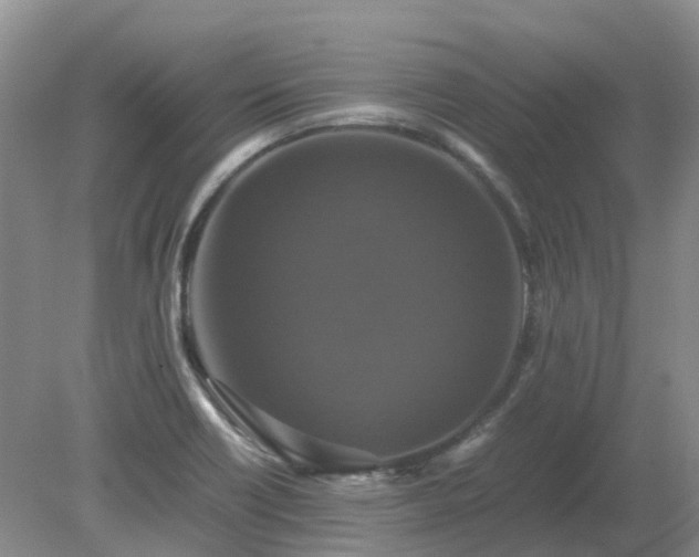 X0000079321418200611251753