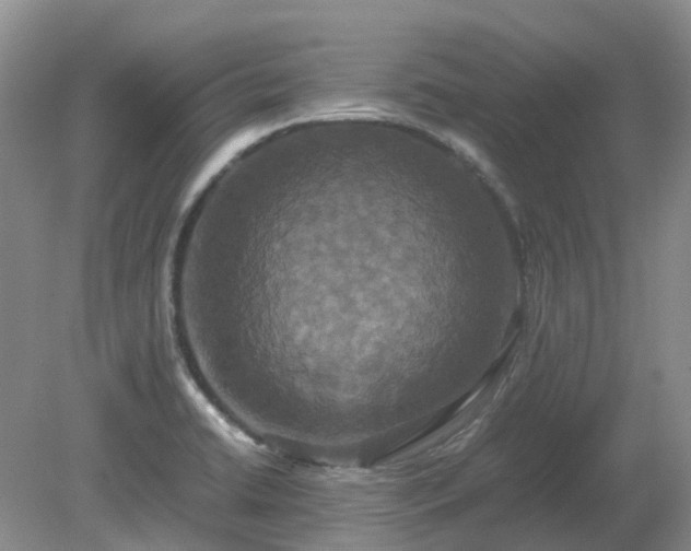 X0000079321422200611251753