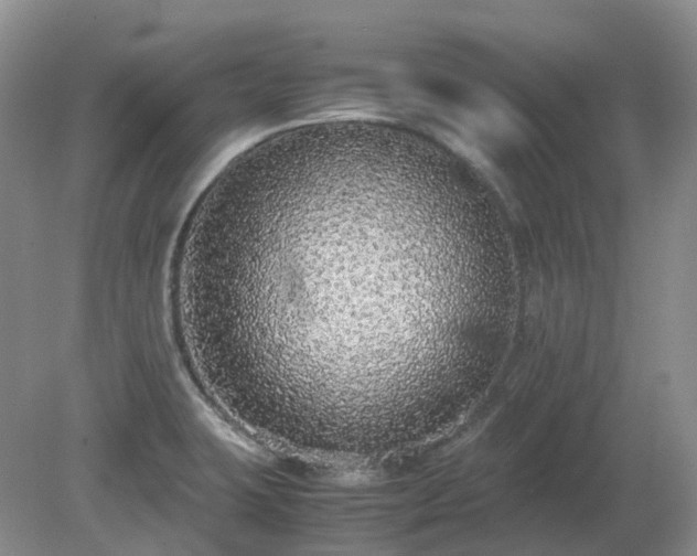 X0000079321423200611251753