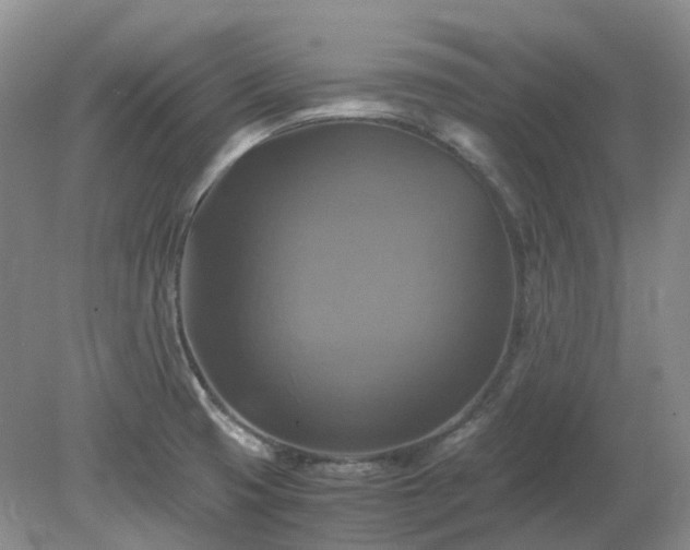 X0000079321425200611251753
