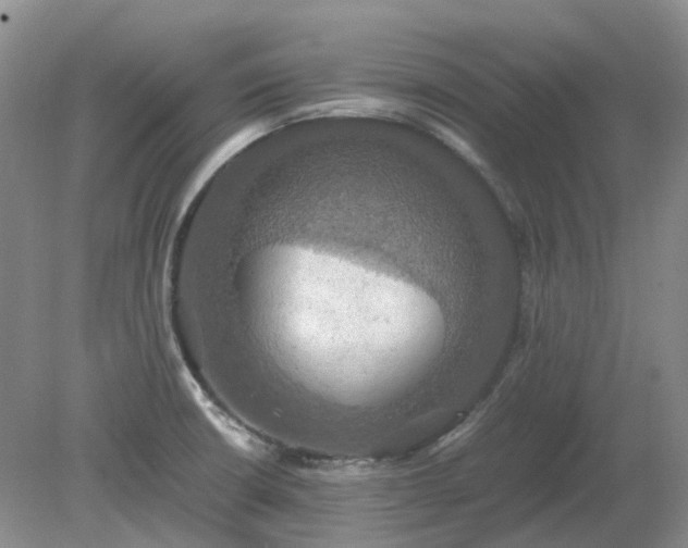 X0000079321426200611251753