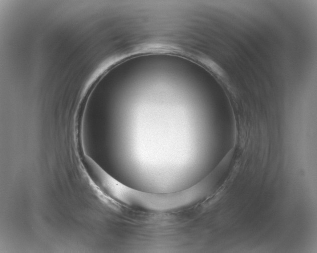 X0000079321430200611251753