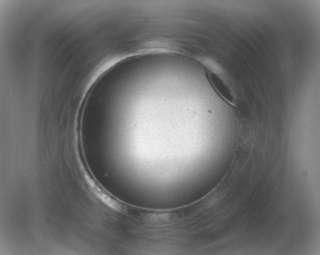 X0000079321431200611251753