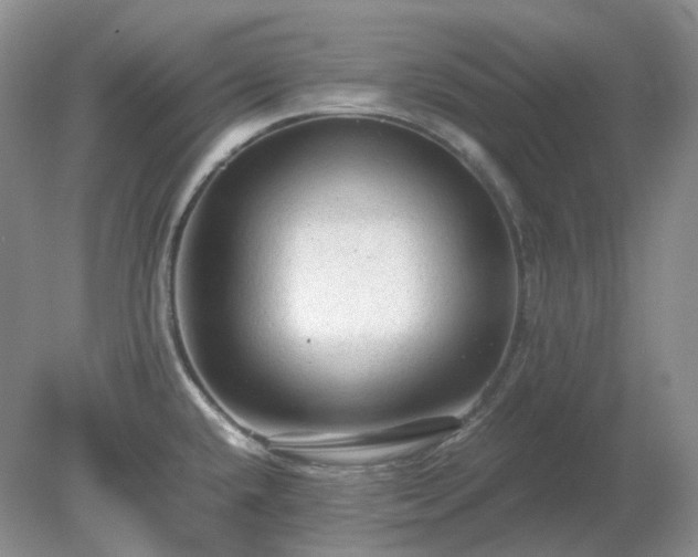 X0000079321432200611251753
