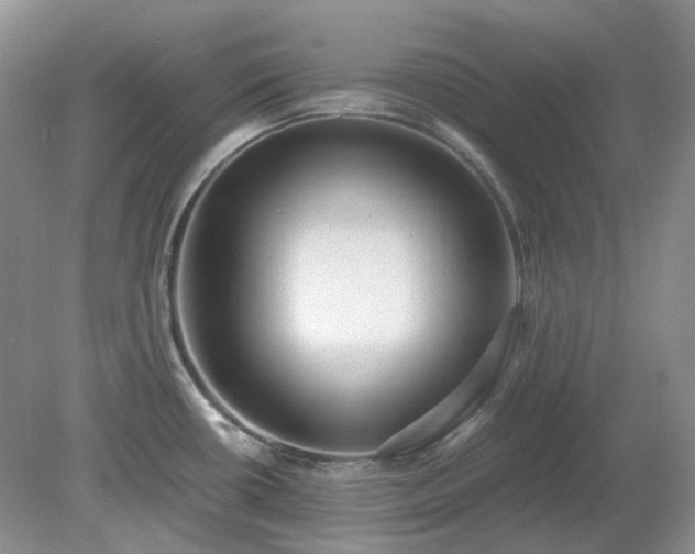 X0000079321434200611251753