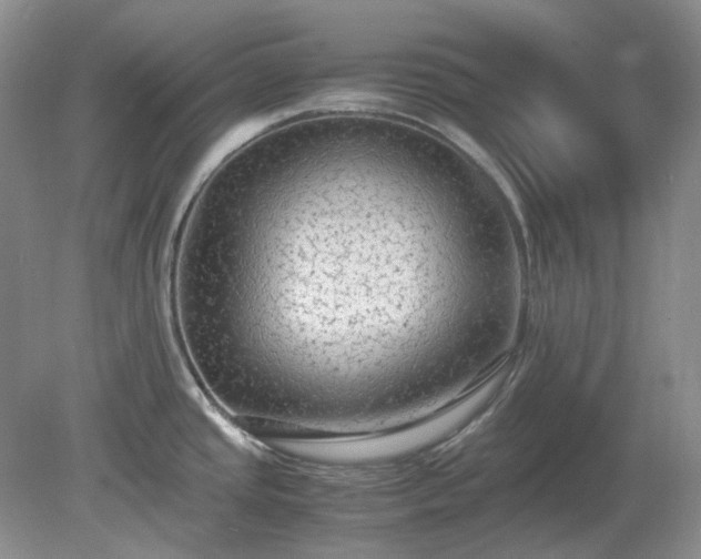 X0000079321437200611251753