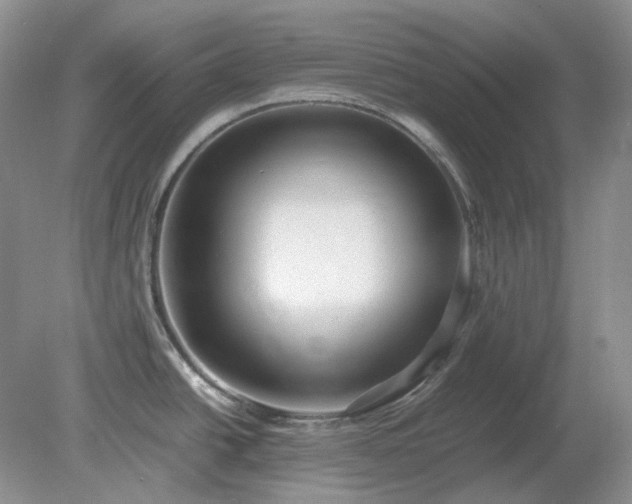 X0000079321438200611251753