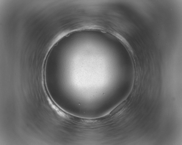 X0000079321439200611251753