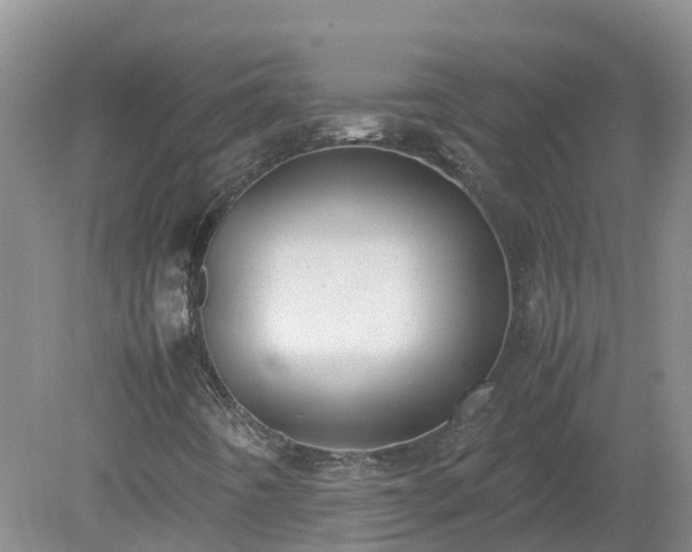 X0000079321442200611251752