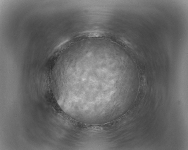 X0000079321446200611251752