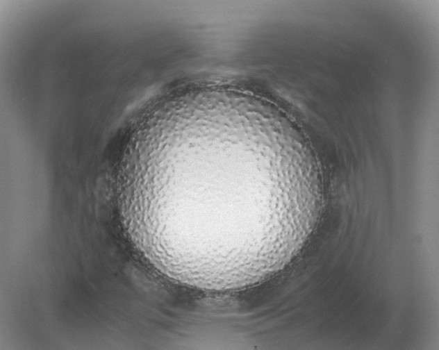 X0000079321447200611251752