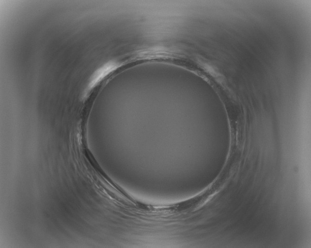 X0000079321453200611251752