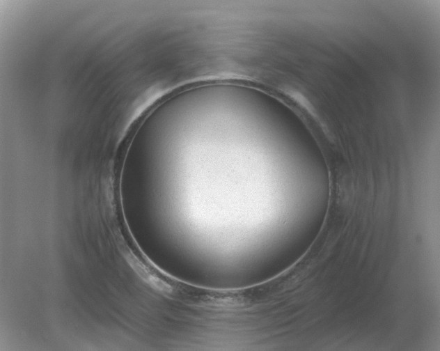 X0000079321460200611251752