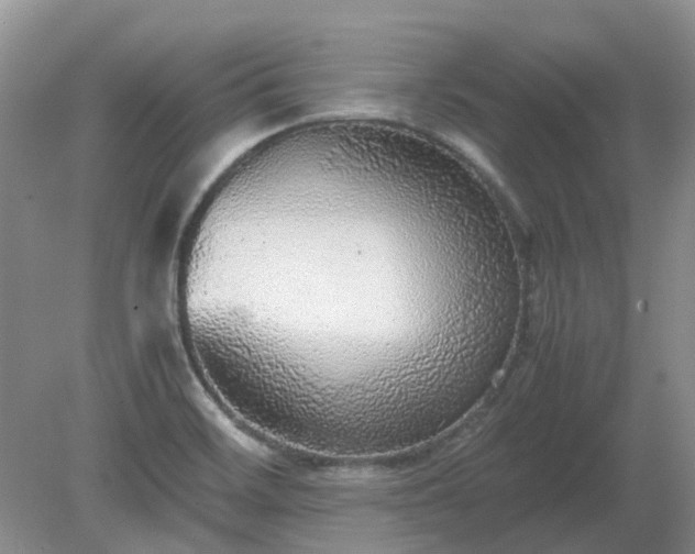 X0000079321468200611251752