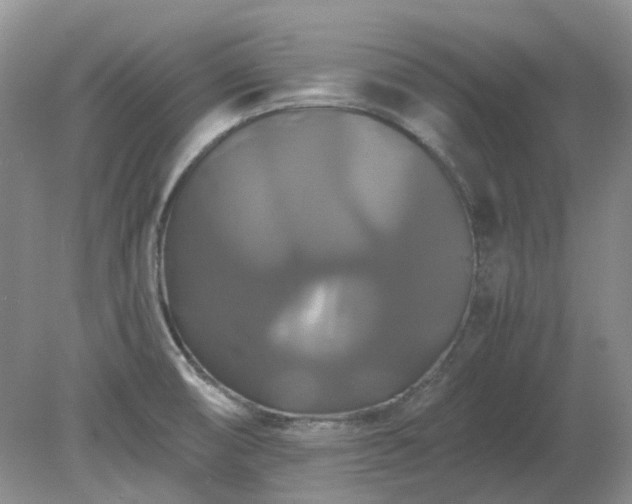 X0000079321474200611251752