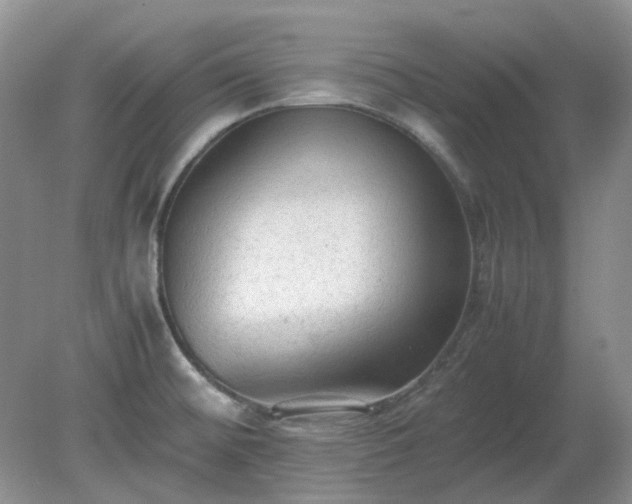 X0000079321476200611251752