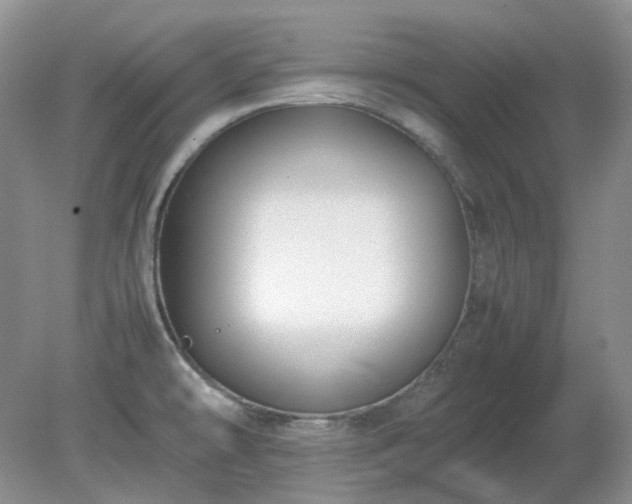 X0000079321478200611251752