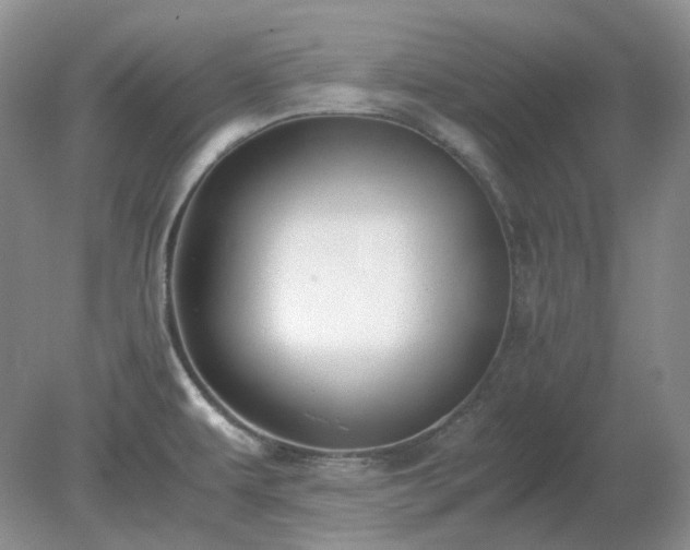 X0000079321479200611251752
